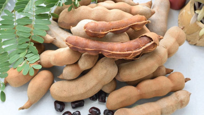 Kilo verdiriyor. Kabızlığı tarihe gömüyor. İşte şifa deposu o ot