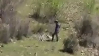 Mağaraya giren kurtlar katliam yaptı. Kimse tahmin edemedi