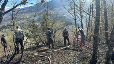 Artvin'de orman yangını (16 Nisan 2024)