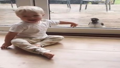 Küçük çocuğun kargayla olan sıra dışı bağı şaşırttı