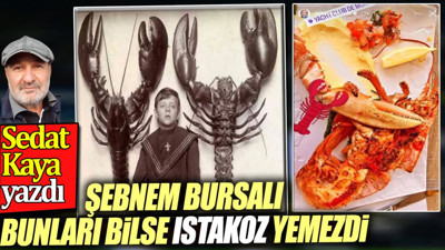 Şebnem Bursalı bunları bilse ıstakoz yemezdi. Sedat Kaya yazdı