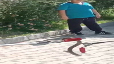 Okulun bahçesindeki yılanı itfaiye yakaladı