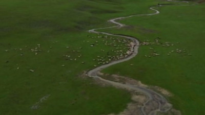 Yeşillikler arasındaki menderesler hayran bıraktı