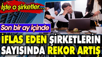 Son bir ay içinde iflas eden şirketlerin sayısında rekor artış. İşte o şirketler…