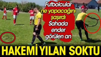 Hakemi yılan soktu. Futbolcular ne yapacağını şaşırdı