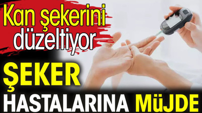 Şeker hastalarına müjde. Kan şekerini düzeltiyor