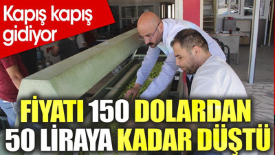Fiyatı 150 dolardan 50 liraya kadar düştü. Kapış kapış gidiyor