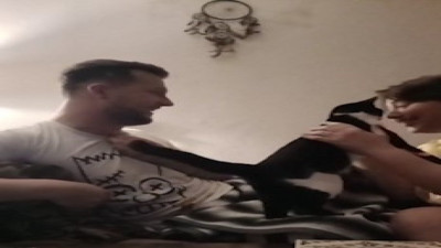 Kavga eden sahiplerini sakinleştiren kedi yürekleri ısıttı