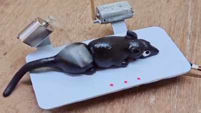 Sosyal medyada 'Yeni Nesil' olarak paylaşılan fare kapanı tepki çekti!