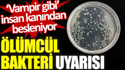 Ölümcül bakteri uyarısı: ‘Vampir gibi’ insan kanından besleniyor