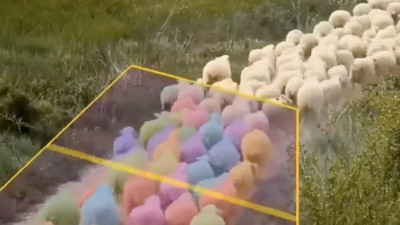 Koyun sayan yapay zeka çiftçileri mutlu etti