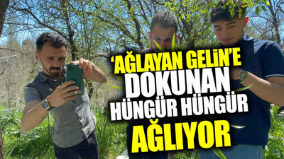 ‘Ağlayan Gelin’e dokunan hüngür hüngür ağlıyor