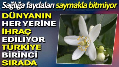 Dünyanın her yerine ihraç ediliyor. Türkiye birinci sırada. Sağlığa faydaları saymakla bitmiyor
