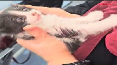Havalandırma boşluğuna düşen yavru kedi kurtarıldı