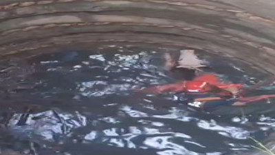 Su kuyusuna düşen dana itfaiye ekipleri tarafından kurtardı