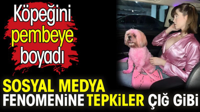 Köpeğini pembeye boyayan sosyal medya fenomenine tepkiler çığ gibi