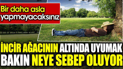 İncir ağacının altında uyumak bakın neye sebep oluyor. Bir daha asla yapmayacaksınız