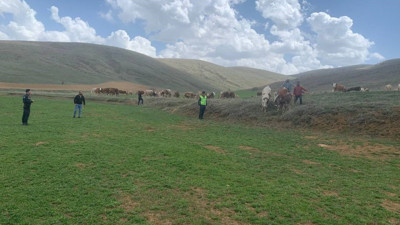 Kurttan kaçan hayvanlar drone ile bulundu
