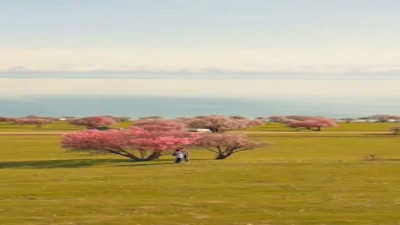 Çarpanak Adası'ndaki renk cümbüşü büyüledi