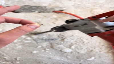 Yakalanan sineğe sinir bozucu sesler dinletilmesi güldürdü