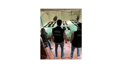 Polisler şaştı kaldı. Evi kenevir tarlasına çevirmişler