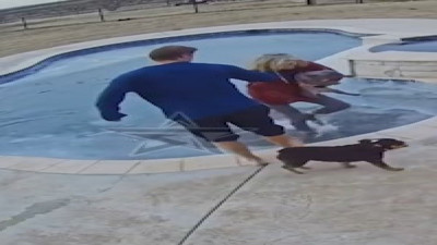 Köpeğini kurtarmak için buz tutmuş havuza atladı