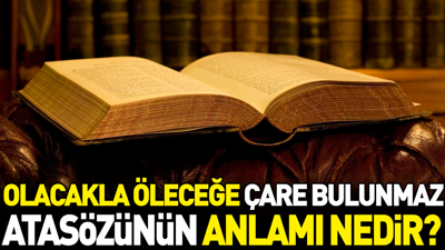 Olacakla öleceğe çare bulunmaz atasözünün anlamı nedir?