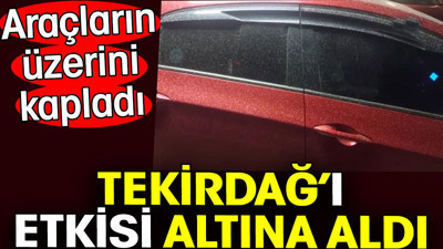 Tekirdağ’ı etkisi altına aldı. Araçların üzerini kapladı