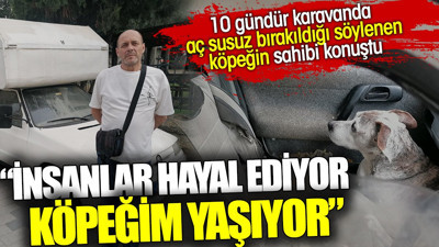 Aç bırakıldığı söylenen köpeğin sahibi konuştu 'İnsanlar hayal ediyor köpeğim yaşıyor'