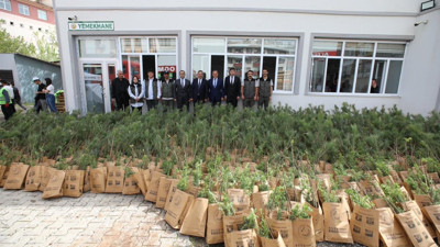 Bingöl'de vatandaşlara fidan dağıtıldı