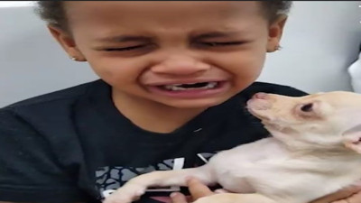 Köpeğin tatlılığına ağlayan çocuk izleyenleri güldürdü