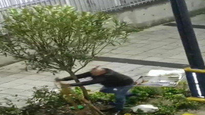 İstanbul'da bir şahıs ağaçlarla kavga etti