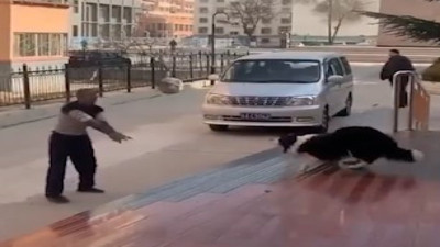 Sahibiyle birlikte voleybol oynayan köpek çevredekileri güldürdü