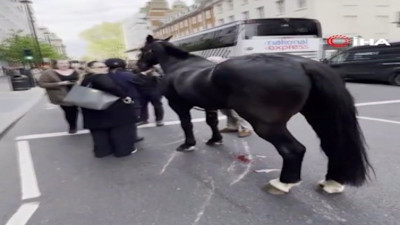 İngiltere'de firar eden Kraliyet atları ortalığı birbirine kattı