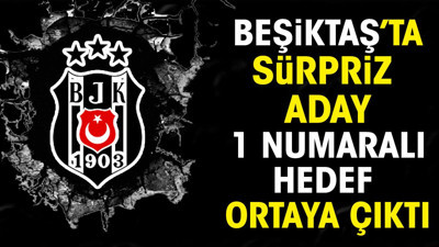 Beşiktaş'ta sürpriz teknik direktör adayı. 1 numaralı hedef ortaya çıktı