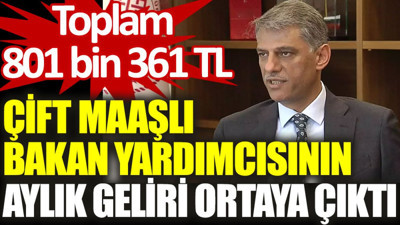 Çift maaşlı bakan yardımcısının aylık geliri ortaya çıktı: Toplam 801 bin 361 TL