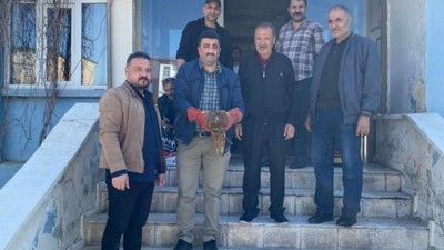 Yaralı Kartal'a bakımları yapıldı