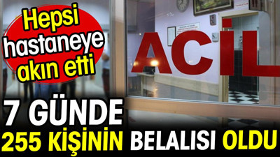 Yedi günde 255 vatandaşın belalısı oldu! Hepsini hastaneye akın etti