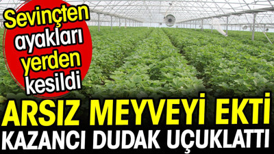 Arsız meyveyi ekti kazancı dudak uçuklattı! Sevinçten ayakları yerden kesildi