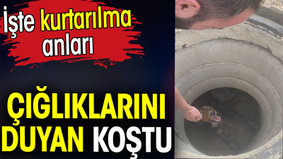 Çığlıklarını duyan koştu. İşte kurtarılma anları