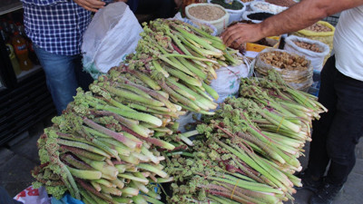 Dağdan bedavaya topluyorlar kilosunu 100 TL'den satıyorlar