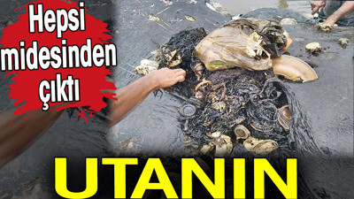 Utanın. Hepsi midesinden çıktı