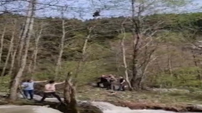 Ağaçta mahsur kalan ayı yavrusu orman işçileri tarafından kurtarıldı