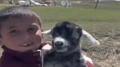 Yeni doğan keçisini heyecanla öğretmenine gösteren çocuk gülümsetti