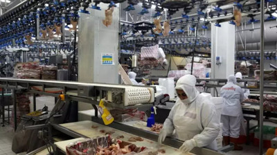 Fiyatlar uçtu bakanlık yasak için düğmeye bastı. Yakında her şey belli olacak