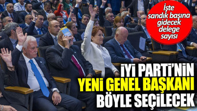 İYİ Parti'nin yeni genel başkanı böyle seçilecek! İşte kurultayda oy kullanacak delege sayısı