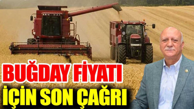 Buğday fiyatı için son çağrı. Ziraat Odası Başkanı'ndan açıklama