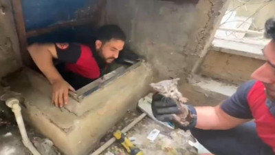 Su kuyusuna düşen yavru kedi kurtarıldı