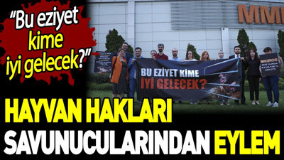 Hayvan hakları savunucularından eylem. 'Bu eziyet kime iyi gelecek?'