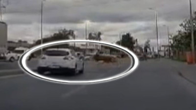 İnek arabaya çarptı. Sultangazi'de ilginç olay